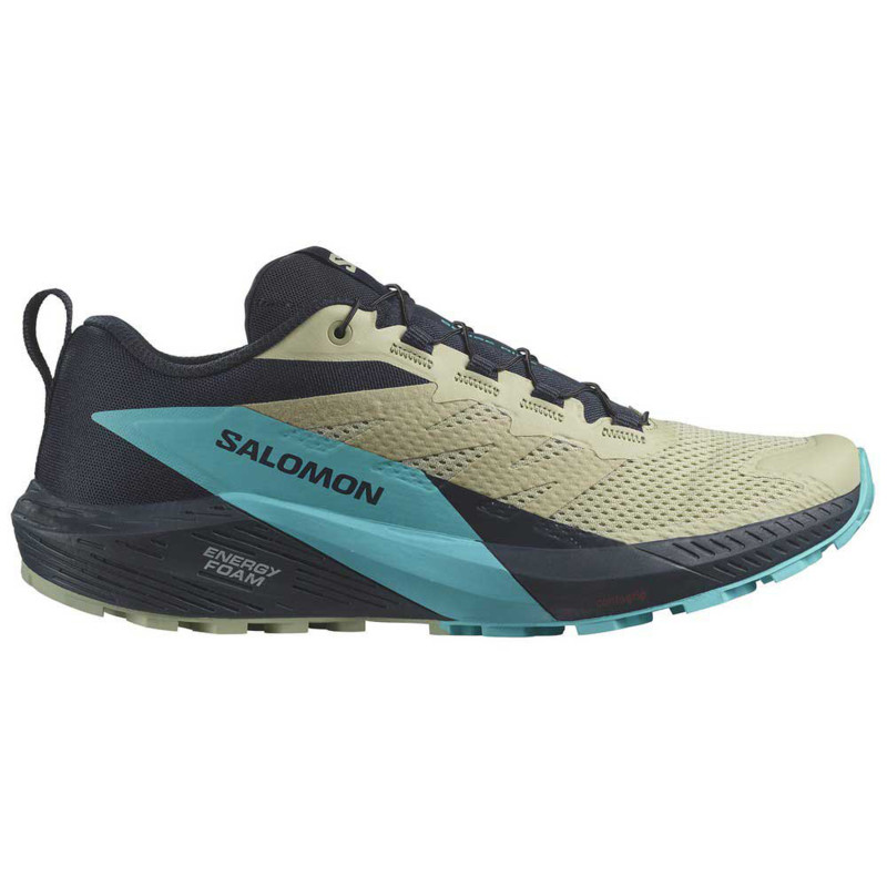 Chaussure Salomon Sense Ride 5 Bleu/Beige