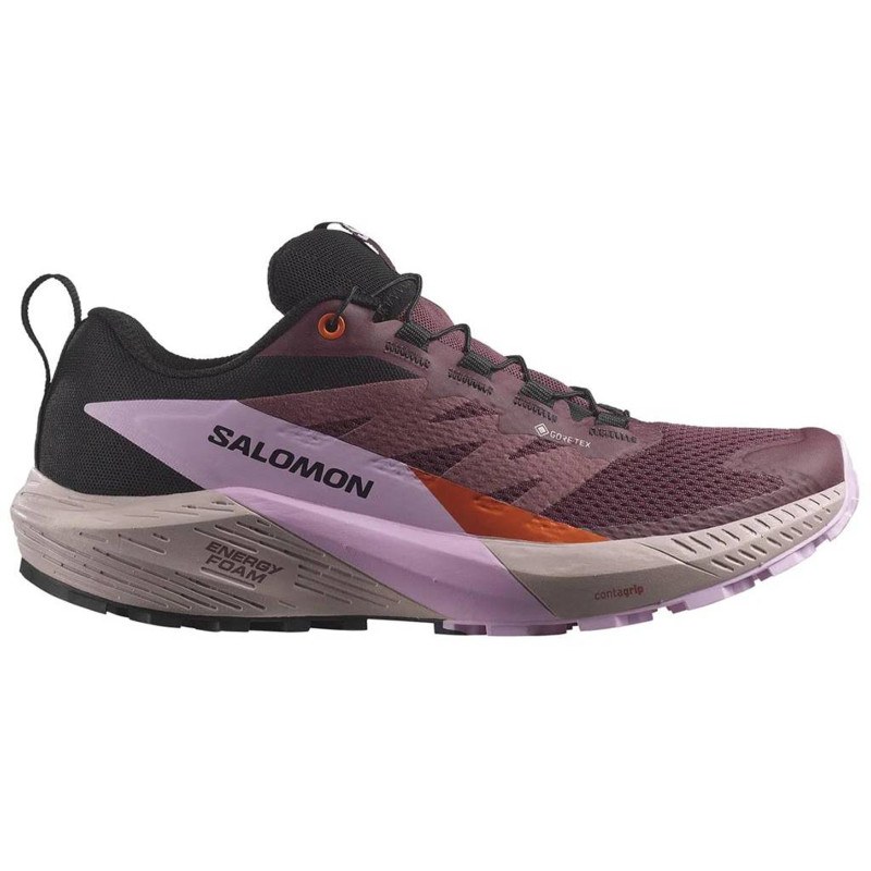 Chaussure de course Salomon Sense Ride 5 GTX Violet/Violet