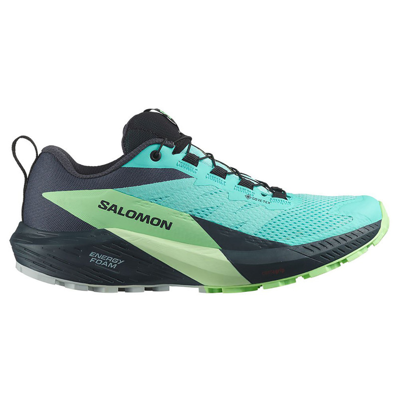Chaussure Salomon Sense Ride 5 GTX W Bleu/Vert