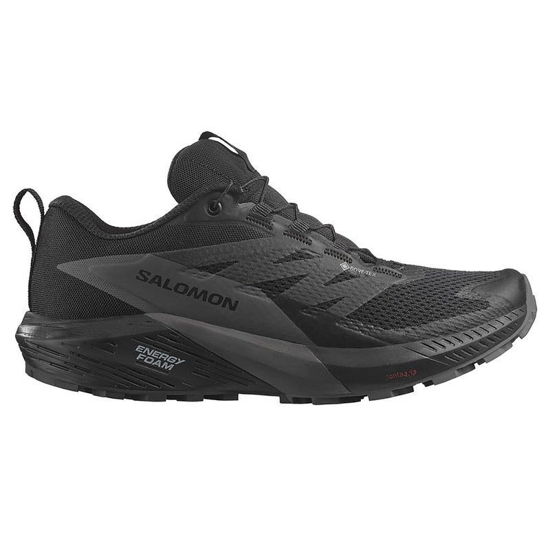 Chaussure Salomon Sense Ride 5 GTX W Noir