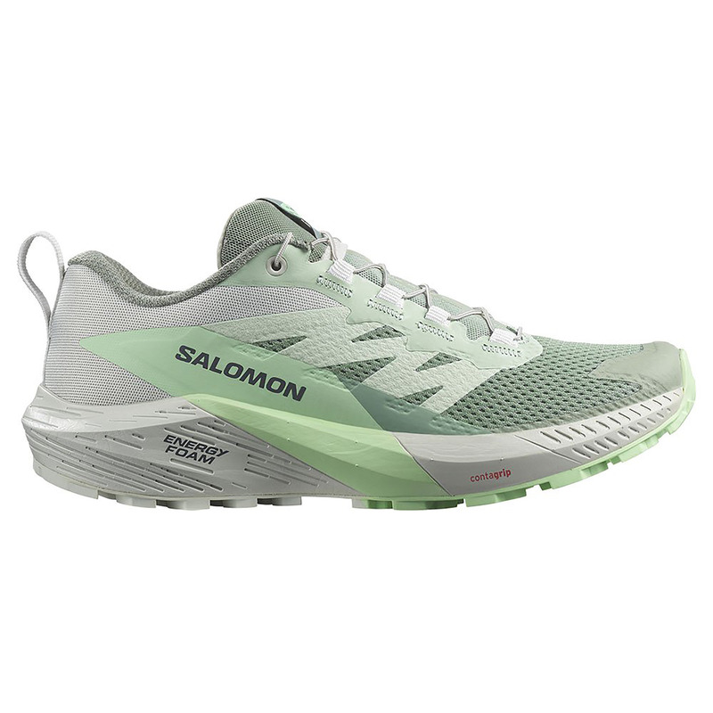 Chaussure Salomon Sense Ride 5 W Vert