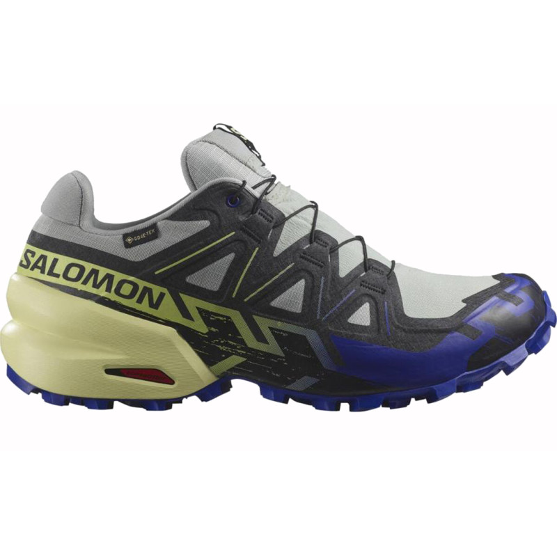Chaussure Salomon Speedcross 6 GTX Gris/Noir/Bleu/Vert
