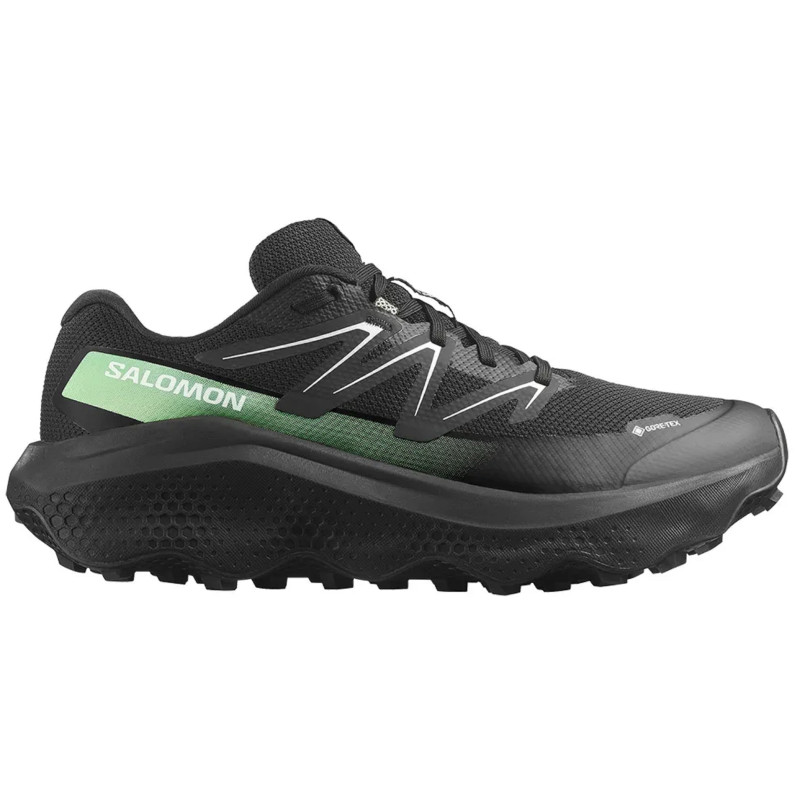 Chaussure Salomon Ultra Flow 2 GTX Noir/Vert