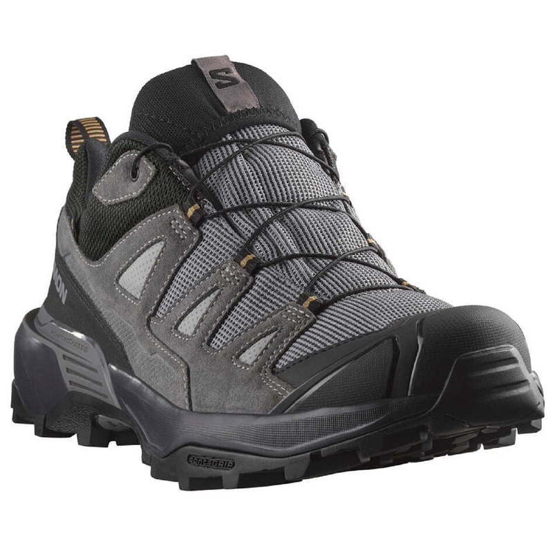Chaussure Salomon X Ultra 360 Ltr Gtx Gris