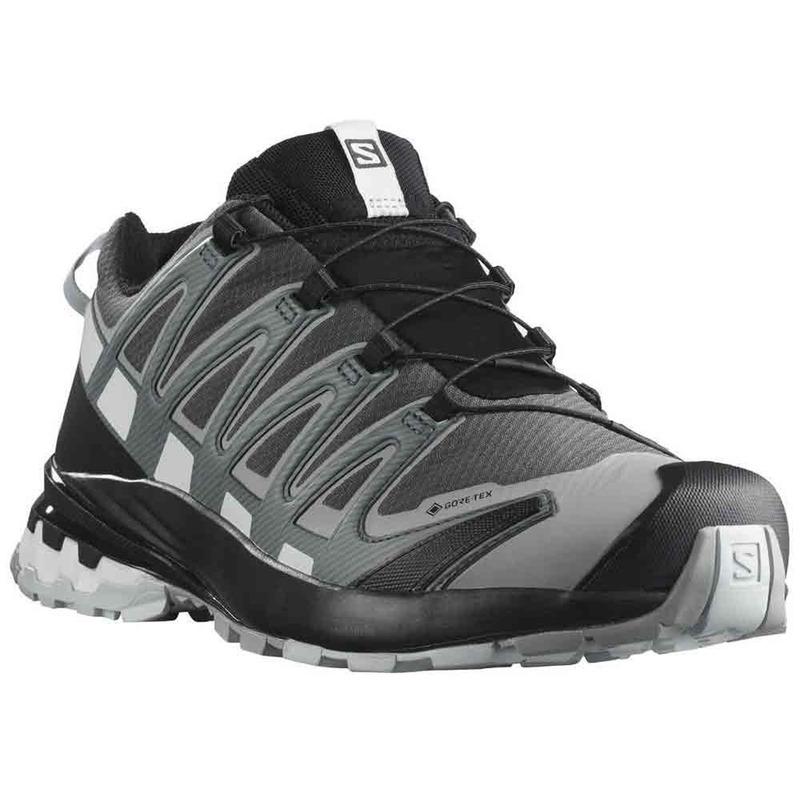 Chaussure Salomon XA PRO 3D GTX V8 Gris/Blanc