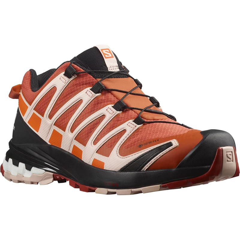 Chaussure Salomon XA PRO 3D V8 GTX W Saumon