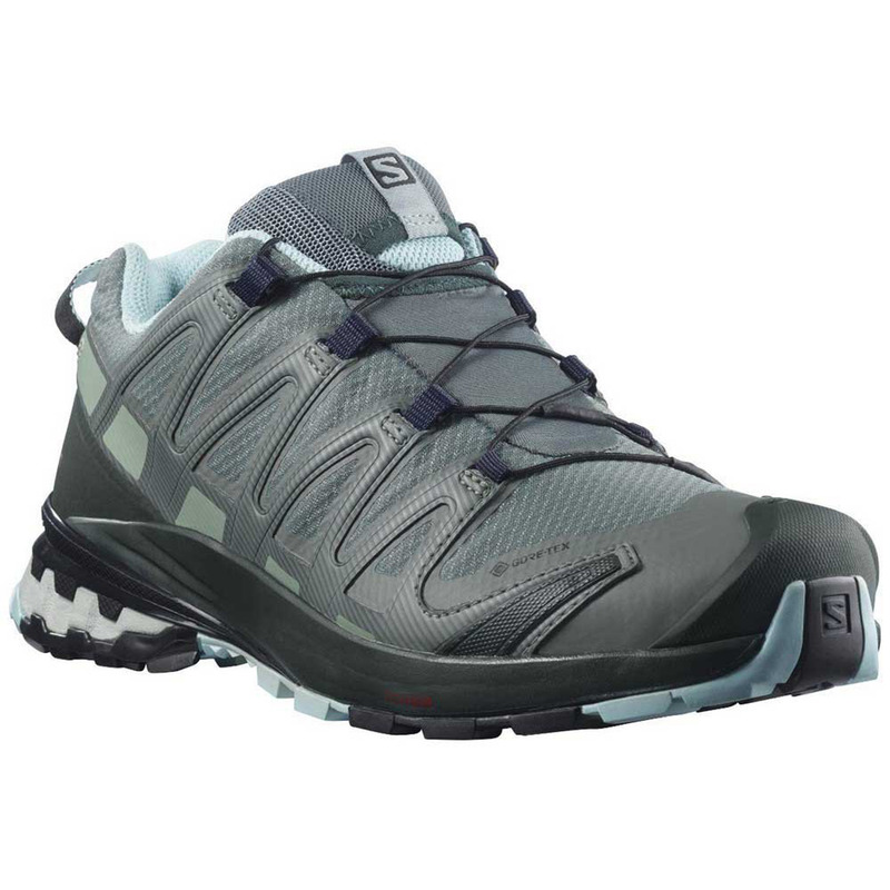 Chaussure Salomon XA PRO 3D V8 GTX W Verte