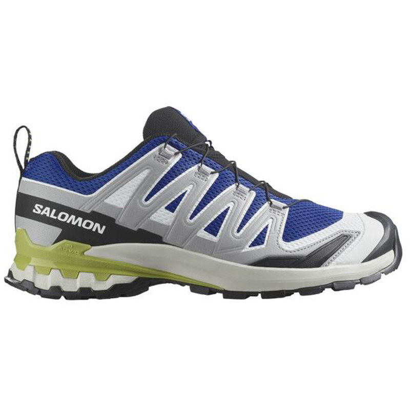 Chaussure de course Salomon XA Pro 3D V9 Gris/Bleu