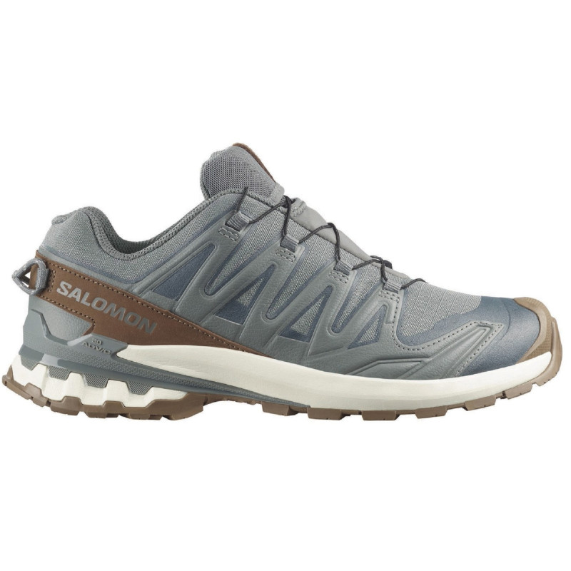 Zapatilla Salomon XA PRO 3D V9 GTX Vivant Gris/Marrón