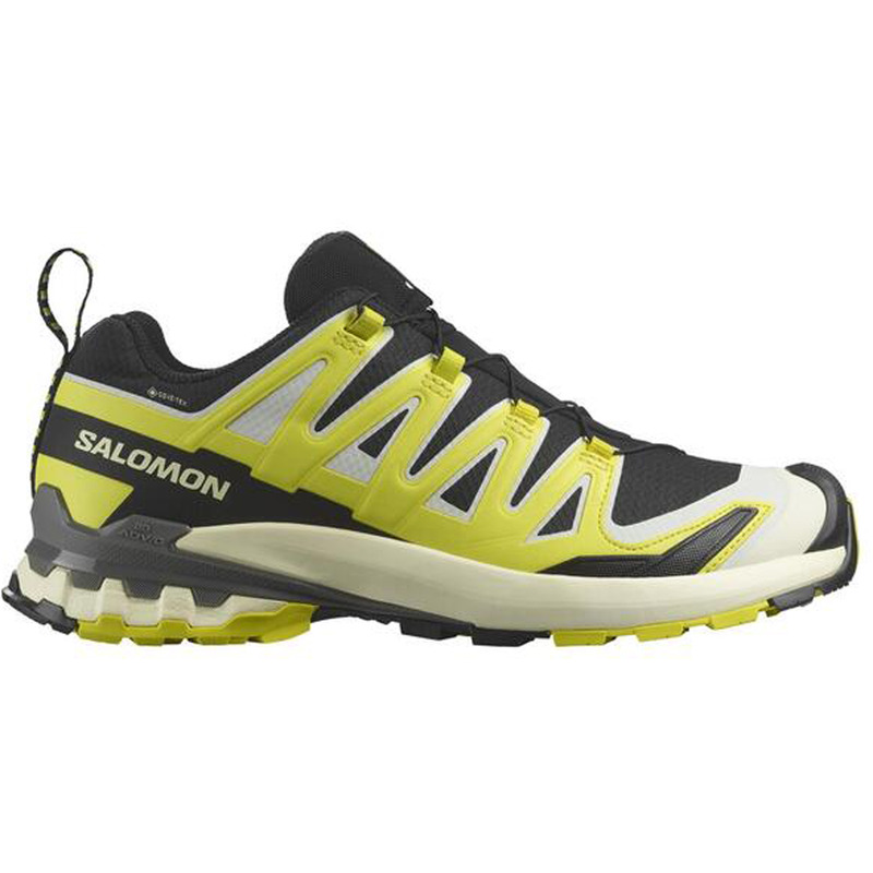 Chaussure Salomon XA PRO 3D V9 GTX Noir/Lime