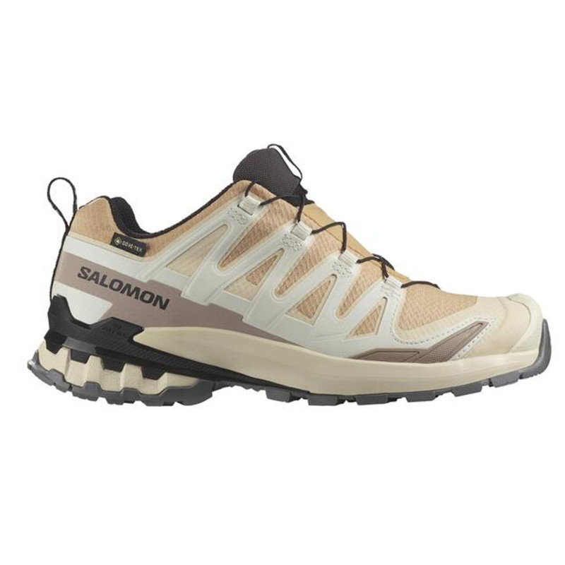 Chaussure de course Salomon XA Pro 3D V9 GTX W Beige/Marron