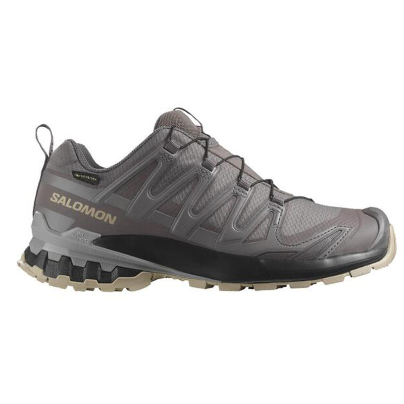 Chaussure Salomon XA PRO 3D V9 GTX W Gris