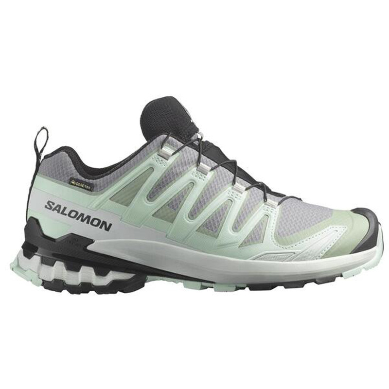Chaussure de course Salomon XA Pro 3D V9 GTX W Gris/Vert d&#39;eau