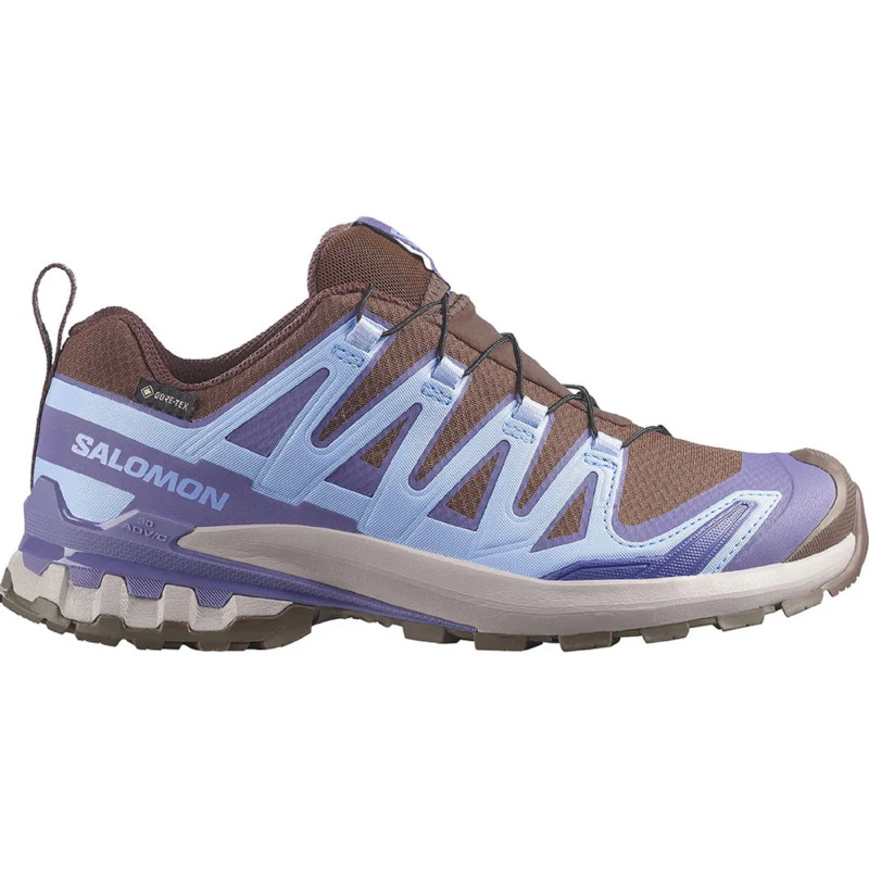 Zapatilla Salomon XA PRO 3D V9 GTX W Violeta/Marrón