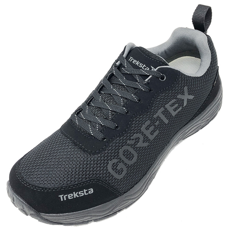 Chaussure Treksta Olympus Low GTX Noir