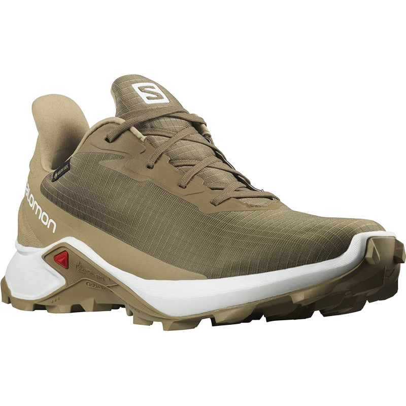 Chaussures Salomon Alphacross 3 GTX Marron / Beige