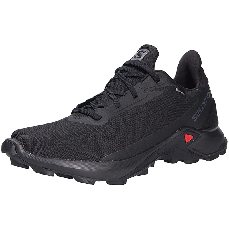 Chaussures Salomon Alphacross 3 GTX Noir