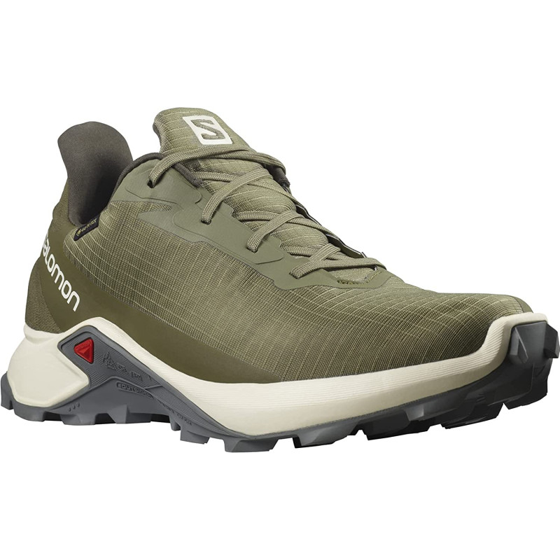 Chaussures Salomon Alphacross 3 GTX Vert