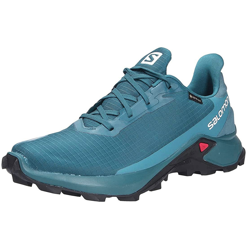 Chaussures Salomon Alphacross 3 GTX Vert Aqua