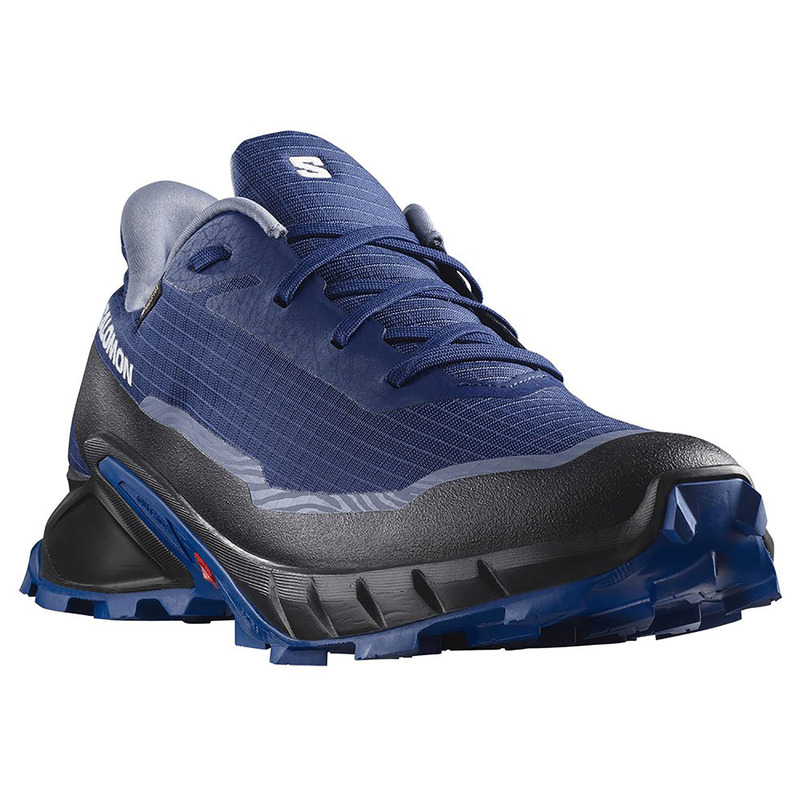 Chaussures Salomon Alphacross 5 GTX bleu