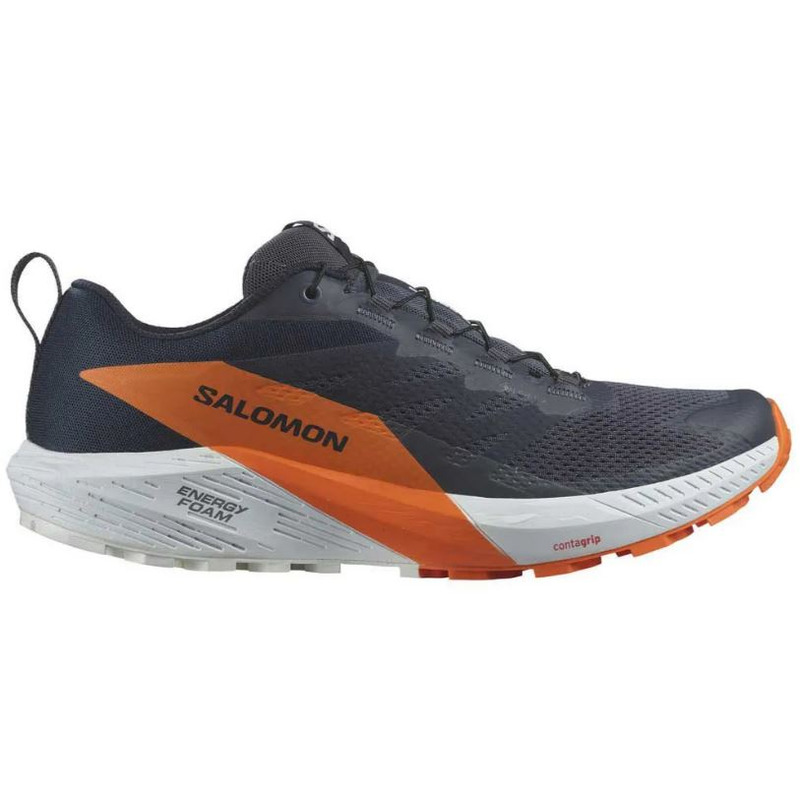 Chaussures Salomon Sense Ride 5 GTX Marine/Orange