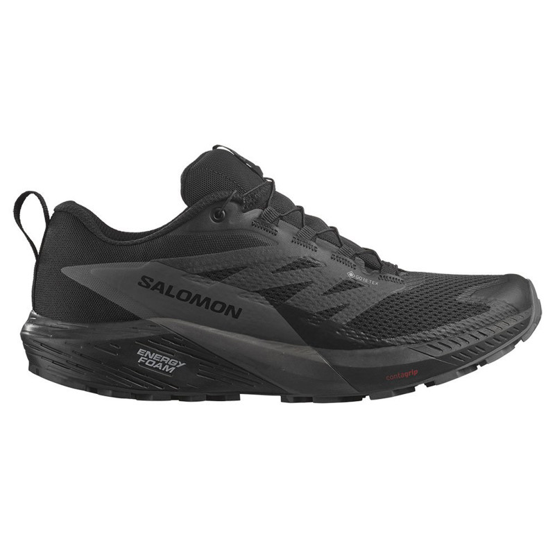 Chaussures Salomon Sense Ride 5 GTX noir
