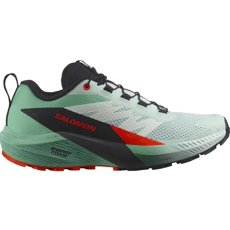 Chaussures Salomon Sense Ride W Vert