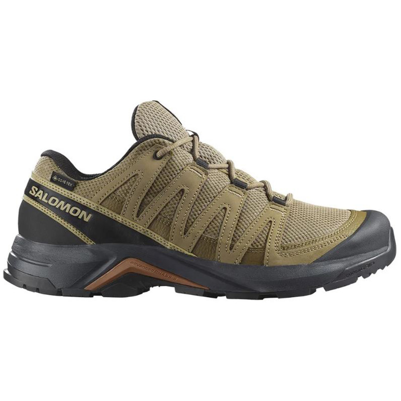 Chaussures Salomon X-Adventure Recon GTX Vert