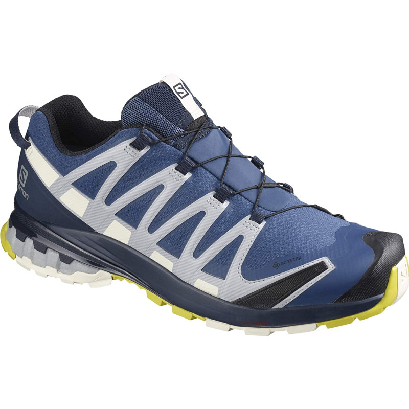 Zapatillas Salomon XA PRO 3D V8 GTX Bleu