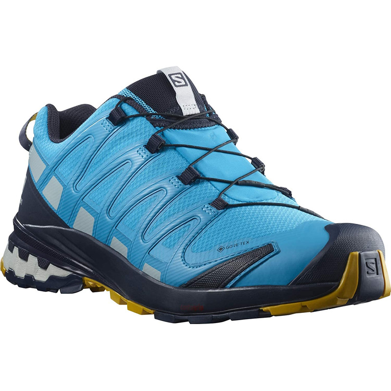 Chaussures Salomon XA PRO 3D V8 GTX bleu ciel