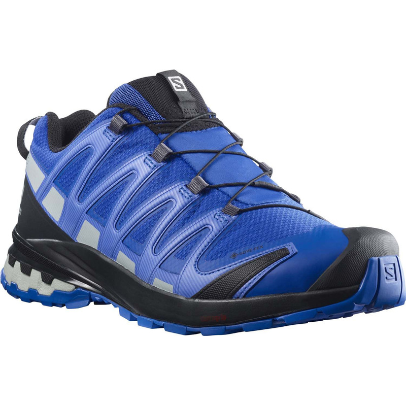 Chaussures Salomon XA PRO 3D V8 GTX Bleu / Gris