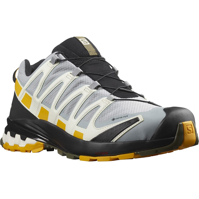 Chaussures Salomon XA PRO 3D V8 GTX Gris/Moutarde
