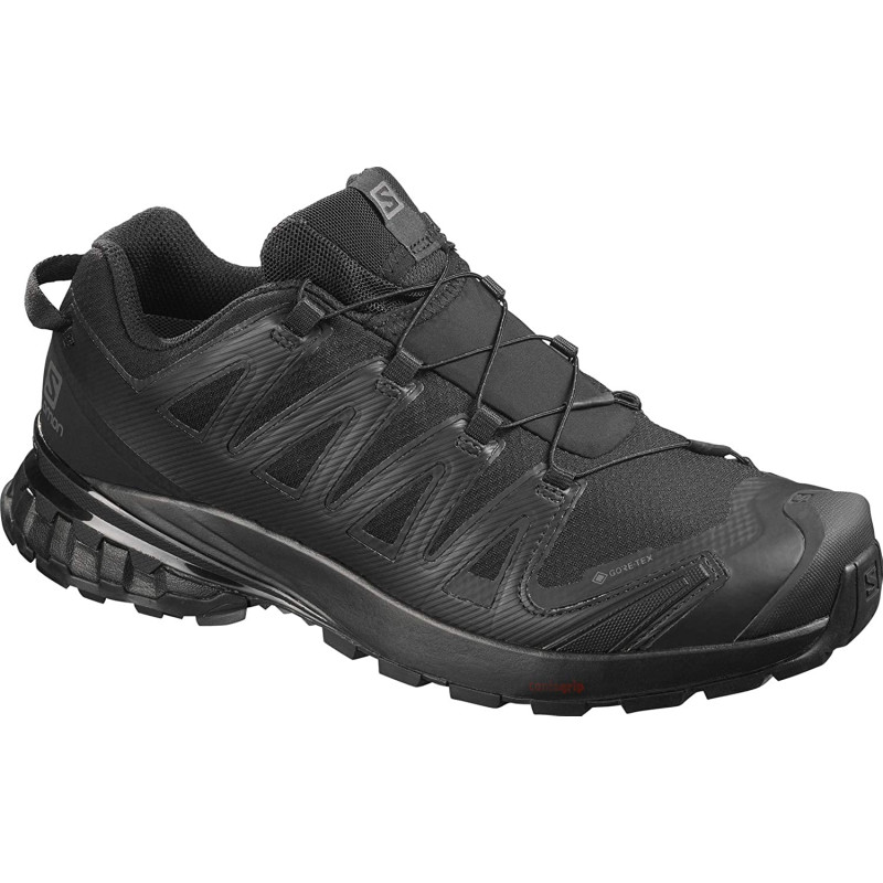 Zapatillas Salomon XA PRO 3D V8 GTX Noir