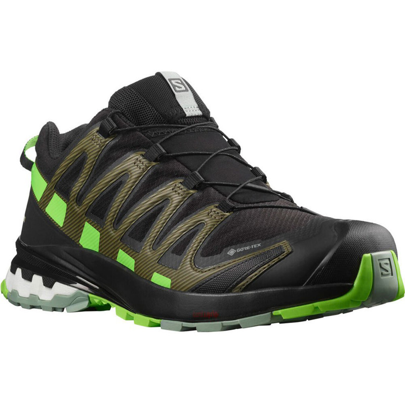 Chaussures Salomon XA PRO 3D V8 GTX Noir/Vert