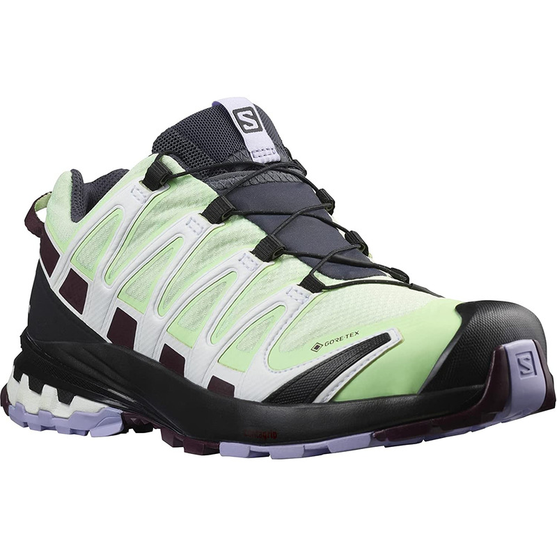 Chaussures Salomon XA PRO 3D V8 GTX W Vert/Violet