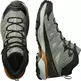 Chaussures Salomon X Ultra 360 LTR Mid GTX Gris/Noir