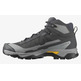 Chaussures Salomon X Ultra 5 Mid GTX Gris/Moutarde