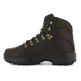 Chiruca GTX Bottes Galice 02 Marrón