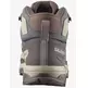 Chaussures Salomon X Ultra 5 Mid GTX W Gris/Beige/Marron