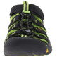 Sandalia Keen Newport H2 Enfants Noir/Lima