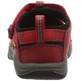 Sandalia Keen Newport H2 Tots Rouge