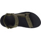 Sandale Teva Winsted W Vert/Marron