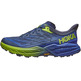 Chaussure Hoka Speedgoat 5 Bleu/Vert