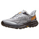 Chaussure Hoka Speedgoat 5 Grise