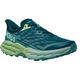 Chaussures Hoka Speedgoat 5 W Aquamarine/Vert