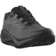 Chaussure Salomon Aero Blaze GRVL GTX noire