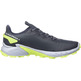 Chaussure Salomon Alphacross 4 GTX Gris/Lime