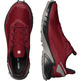 Chaussure Salomon Alphacross 4 GTX Rouge