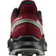 Chaussure Salomon Alphacross 4 GTX Rouge