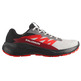 Chaussure de course Salomon Alphaglide GTX Gris/Rouge/Noir